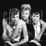 Stray Cats (datum onbekend)
� Patricia Steur / Connu.nl